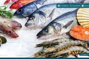 أسعار الأسماك