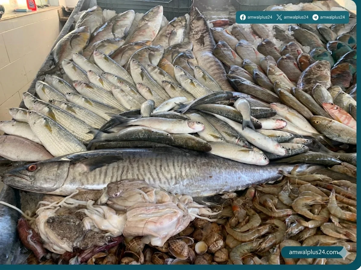أسعار الأسماك