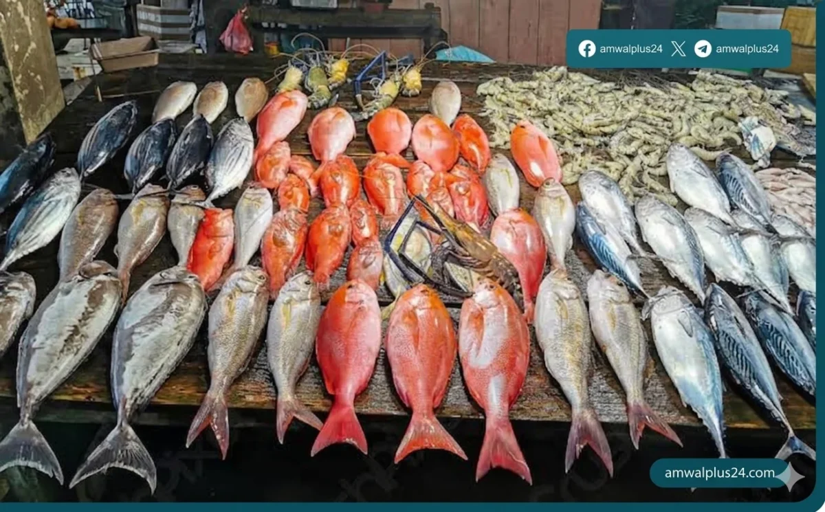 أسعار الأسماك في مصر