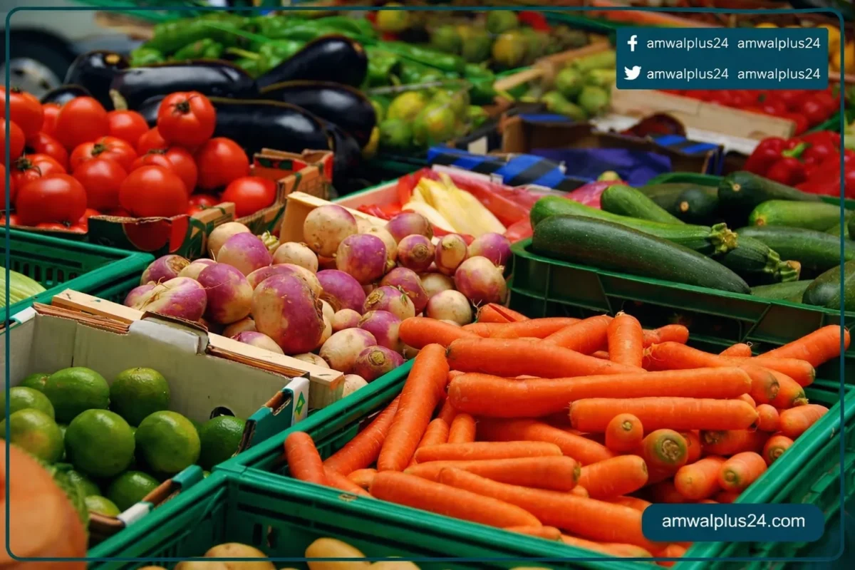 أسعار الخضار