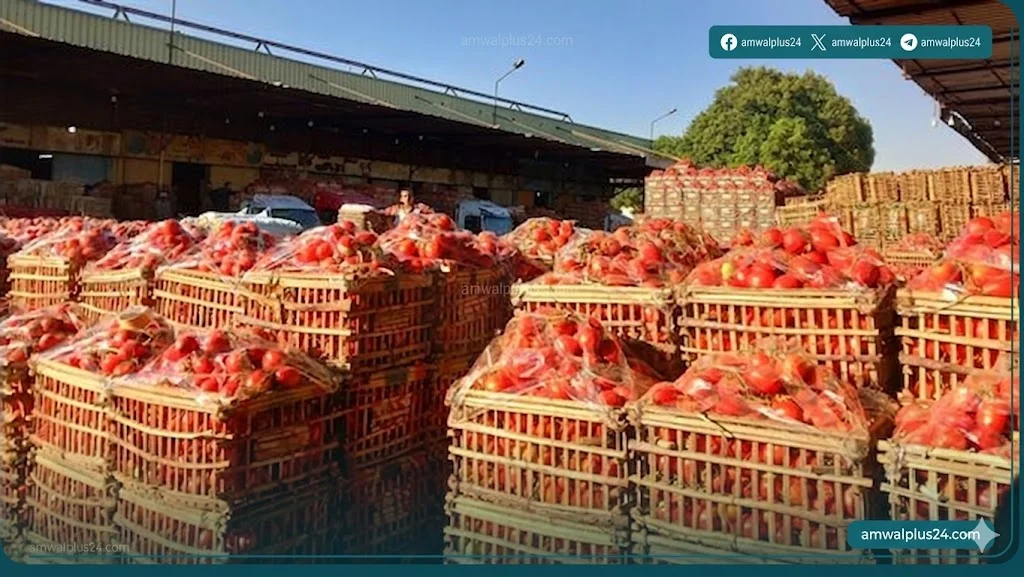 أسعار الخضار