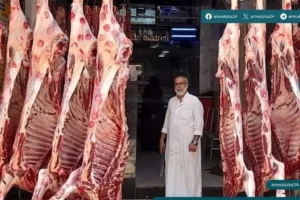 أسعار اللحوم