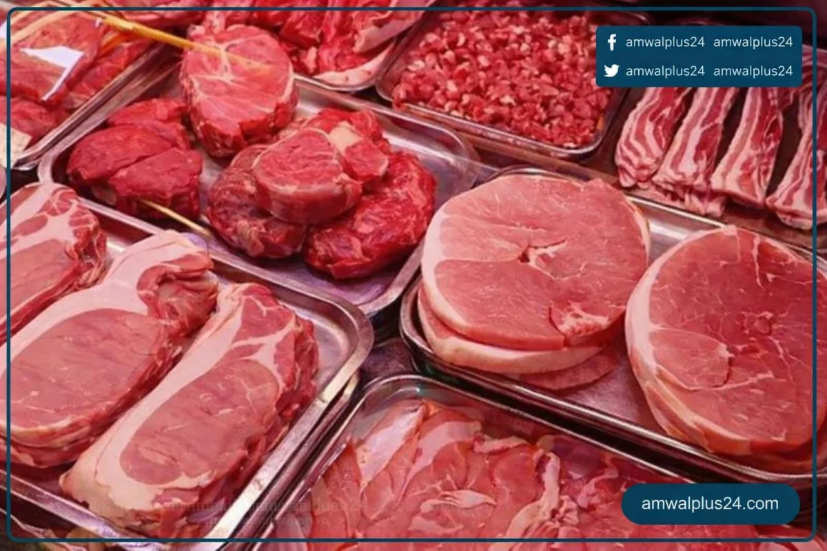 أسعار اللحوم الحمراء
