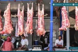 أسعار اللحوم الحمراء