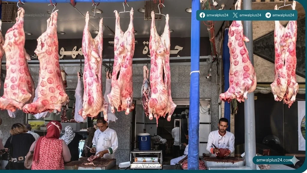 أسعار اللحوم الحمراء