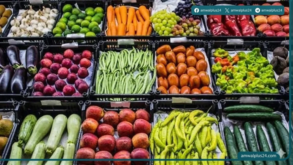 أسواق التجزئة بمحافظة القاهرة