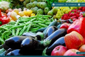 أسواق الخضار