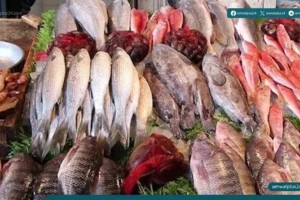 اسعار السمك