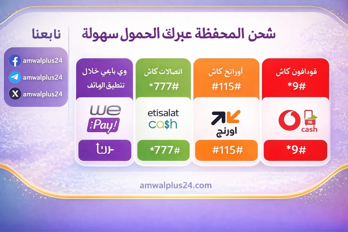 المحافظ الالكترونية في مصر