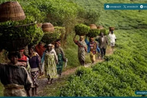 المعهد الوطني