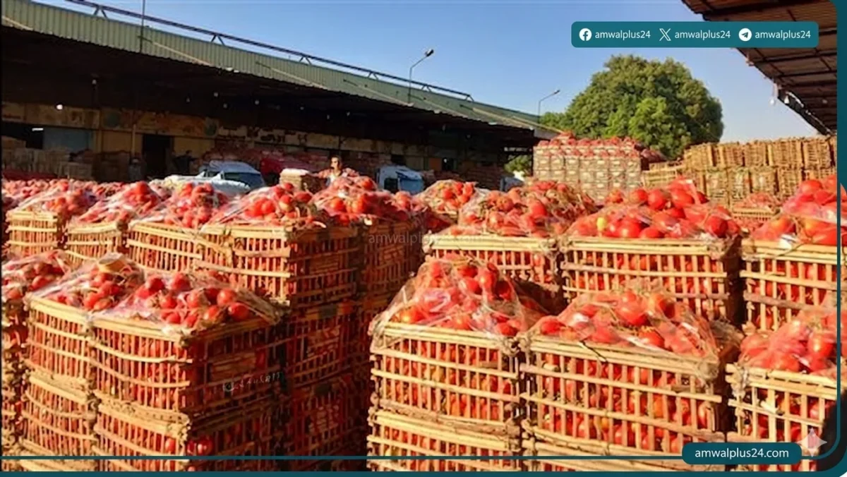 سوق العبور للجملة