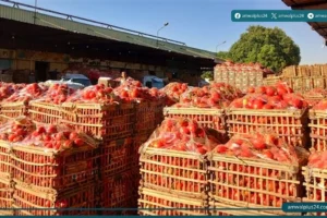 سوق العبور للجملة