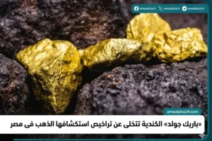 شركة «باريك جولد»