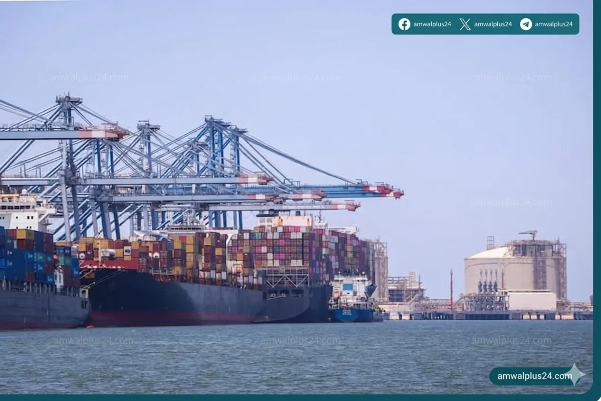 هيئة ميناء دمياط