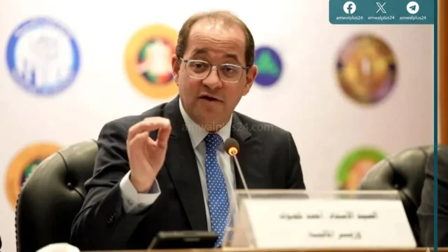 أحمد كجوك أن وزارة المالية المصرية