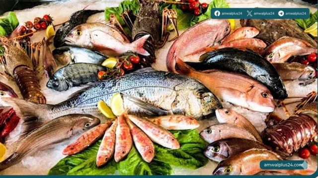 أسعار الأسماك