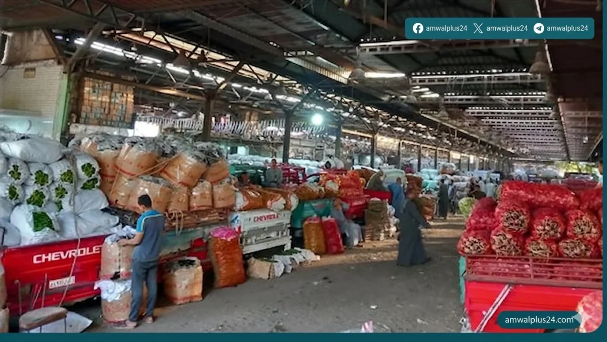 أسعار الخضار