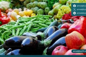 أسعار الخضار