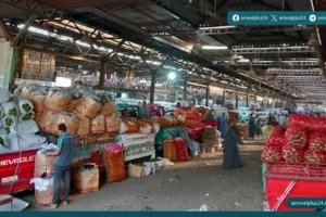 أسعار الخضار