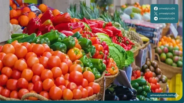 أسعار الخضار