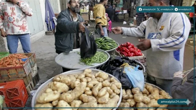 أسعار الخضروات