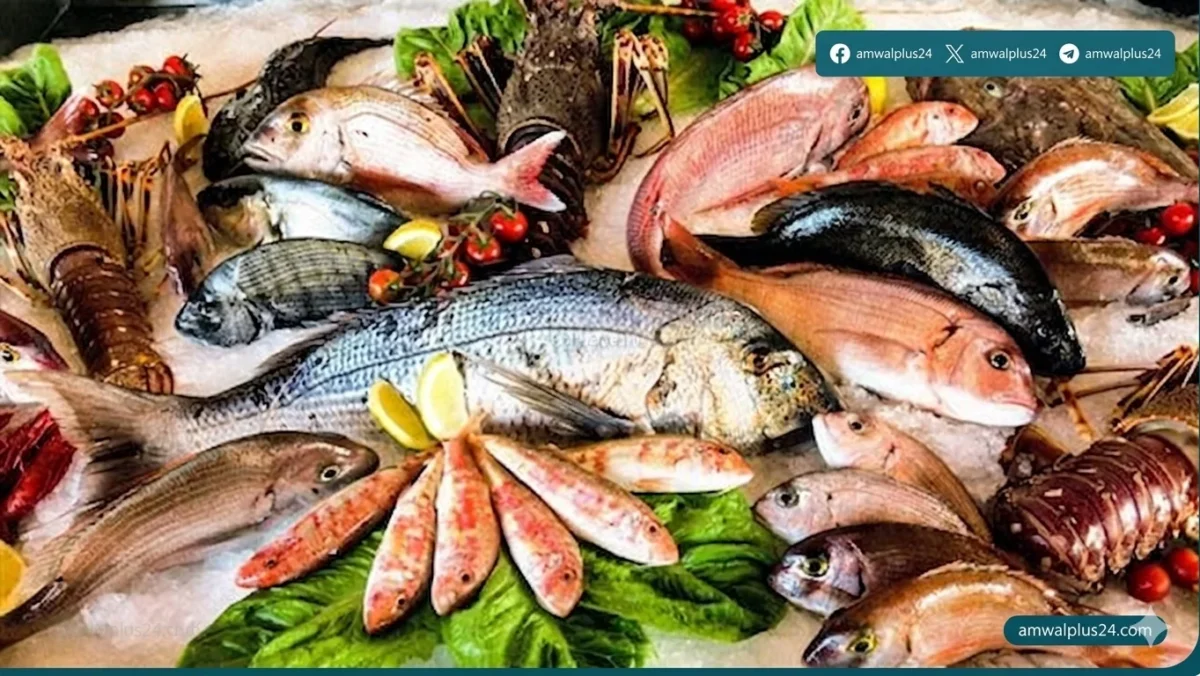 أسعار السمك