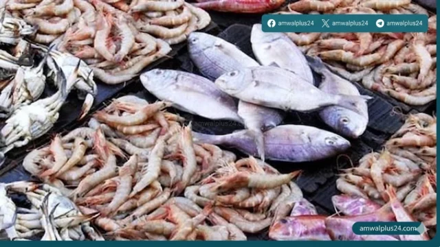 أسعار السمك