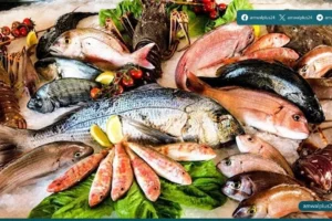أسعار السمك