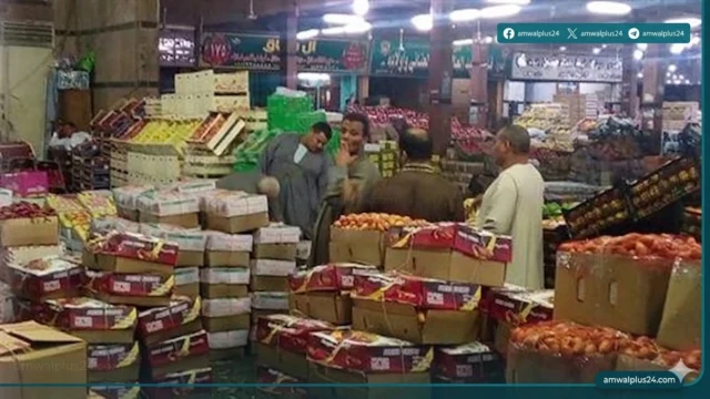 أسعار الفاكهة