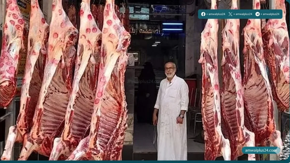 أسعار اللحوم