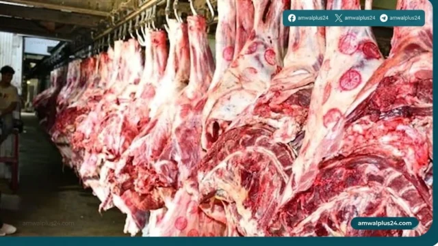 أسعار اللحوم