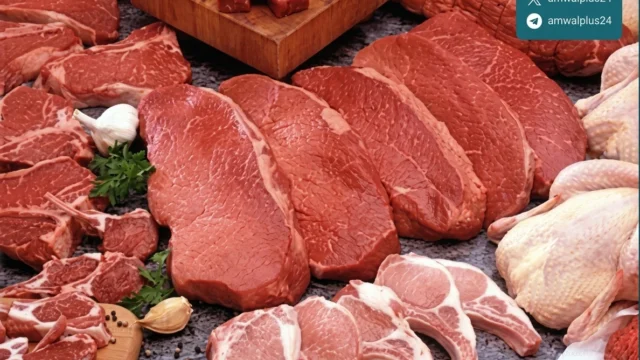 أسعار اللحوم