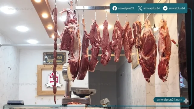 أسعار اللحوم