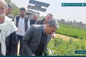 أكد الدكتور ناجح فوزي