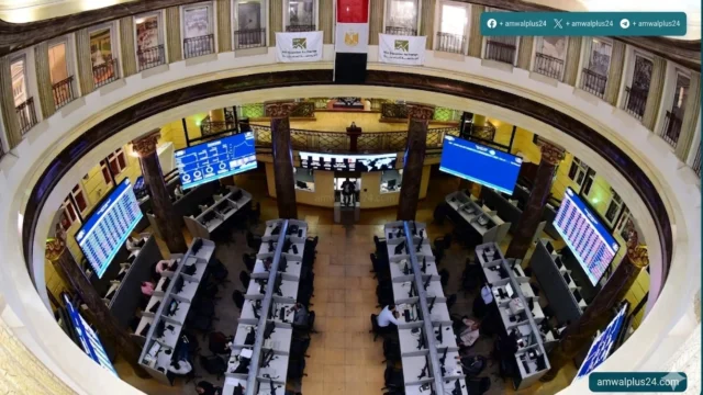 البورصة المصرية