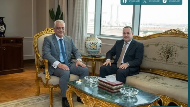 التعليم العالي