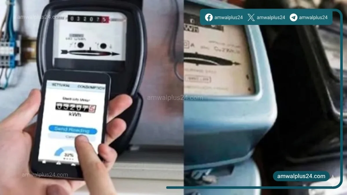 الحكومة المصرية