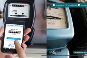 الحكومة المصرية