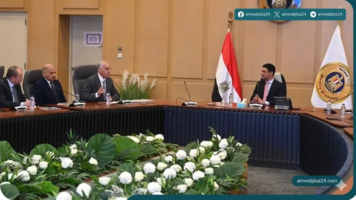 الحكومة عن تحركات مكثفة لتطوير صناعة الرخام