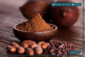 الدول المنتجة للكاكاو