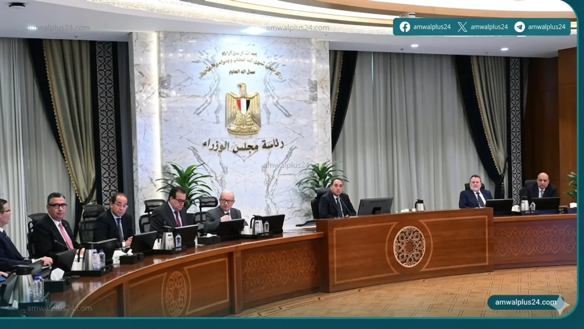 القرار بمجلس الوزراء رؤية أممية حول التجربة المصرية