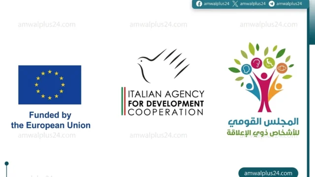 المجلس القومي للإعاقة