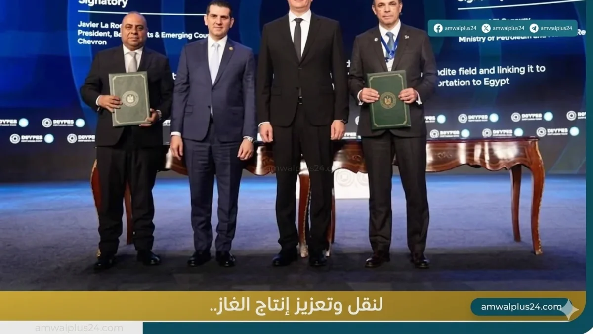 المهندس كريم بدوي وزير البترول