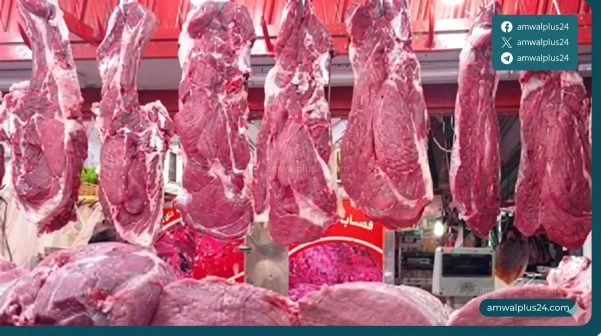 أسعار اللحوم