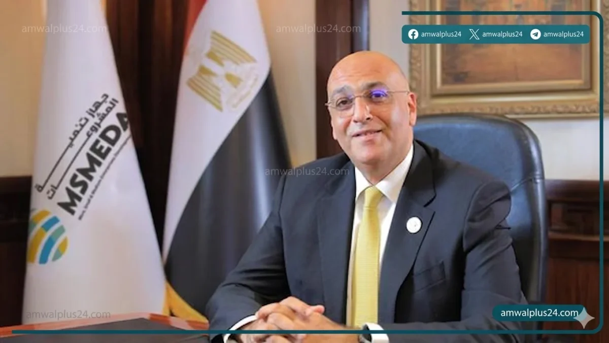 جهاز تنمية المشروعات