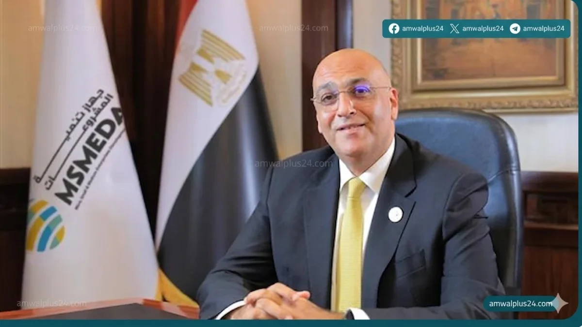 جهاز تنمية المشروعات