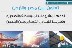 جهاز تنمية المشروعات المتوسطة