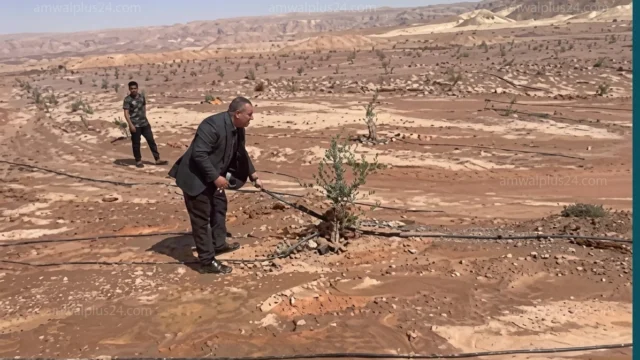 دعم متضرري السيول سيناء