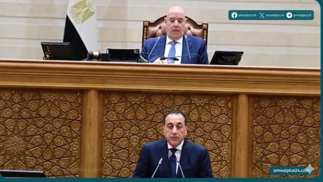 رئيس مجلس الوزراء المصري