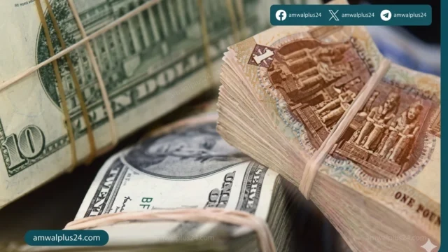 سعر الدولار